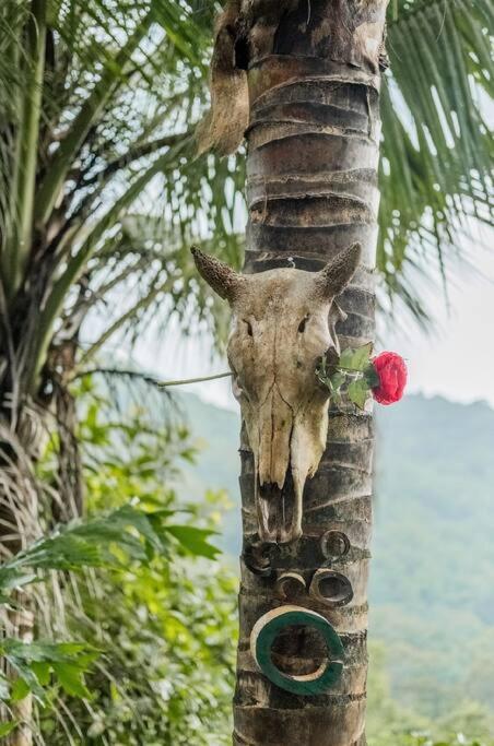 Leela Garden Resort Bamboolove バーン・タイ エクステリア 写真